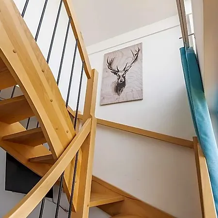 Rybical 42