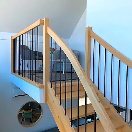 Rybical 42